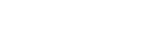 O‘zbekiston Professional Futbol Ligasi